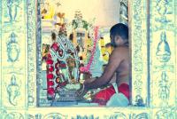 Brahmakalashanga Rathotsava at Shrimath Anantheshwar Temple Vittal (1 May 2025)